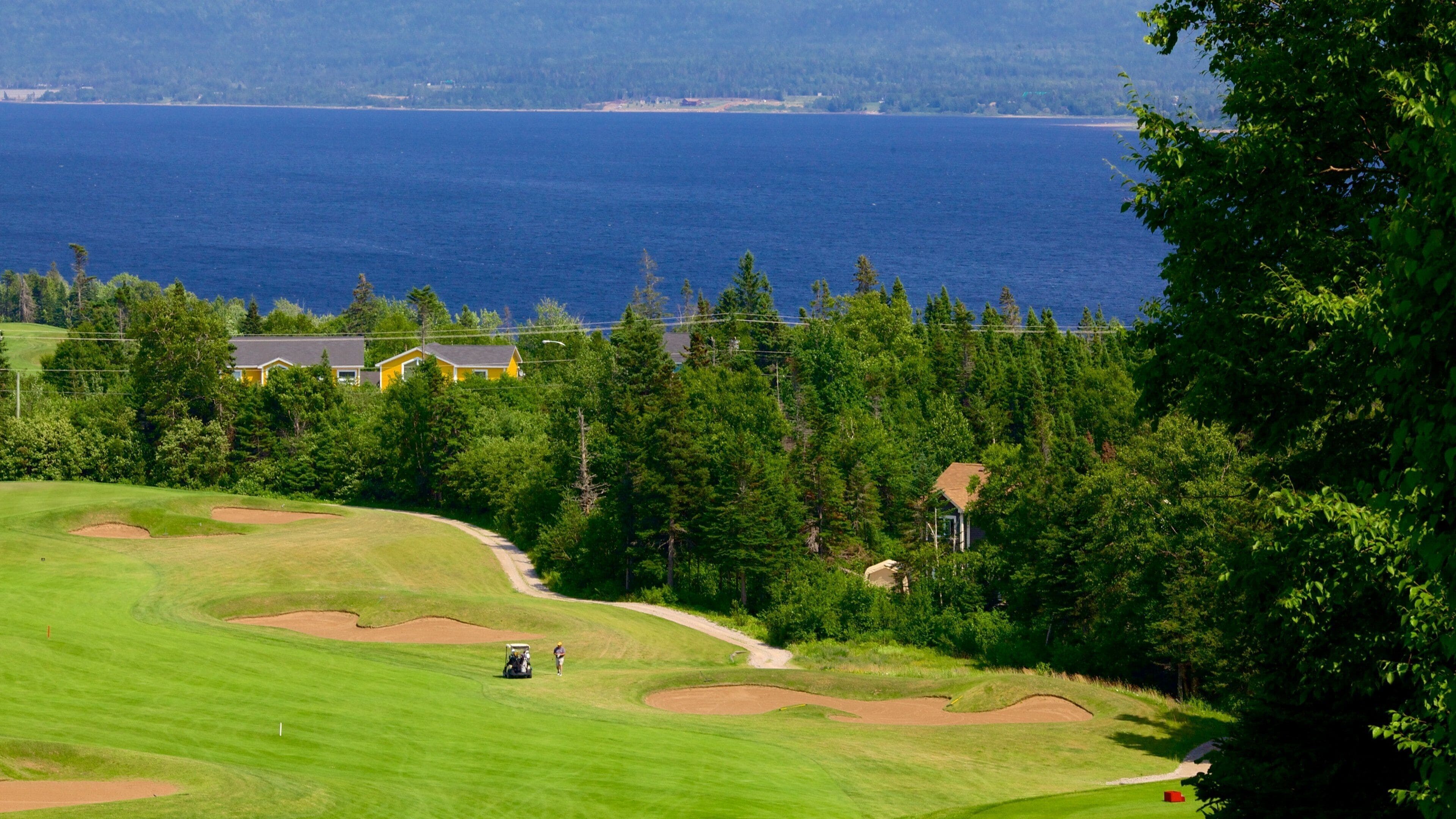Vallée de Humber mettant en vedette golf