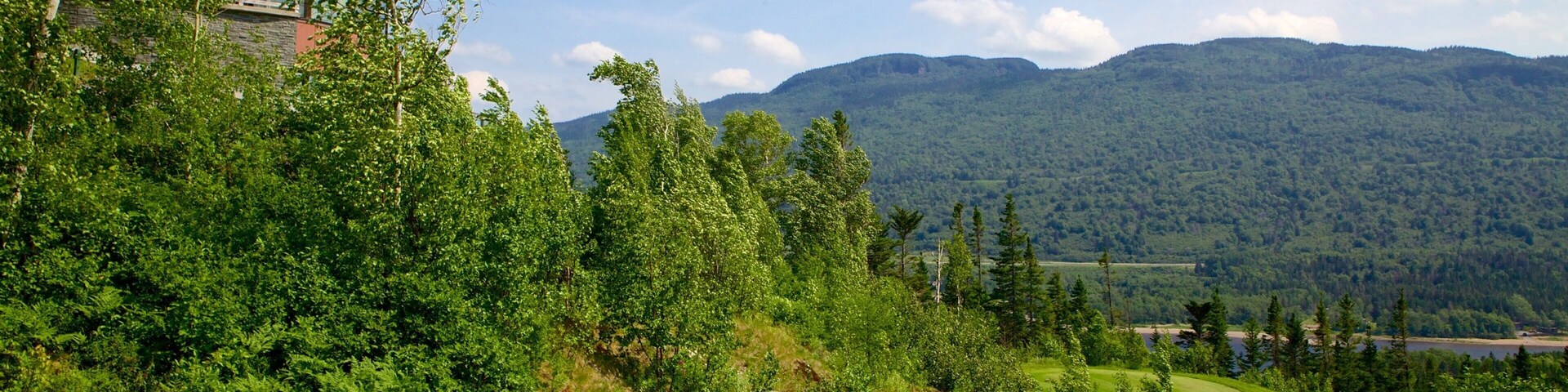 A lush green landscape with a winding road, a modern building, and a mountain range in the background.