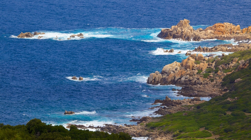 Corsica del sud che include costa rocciosa
