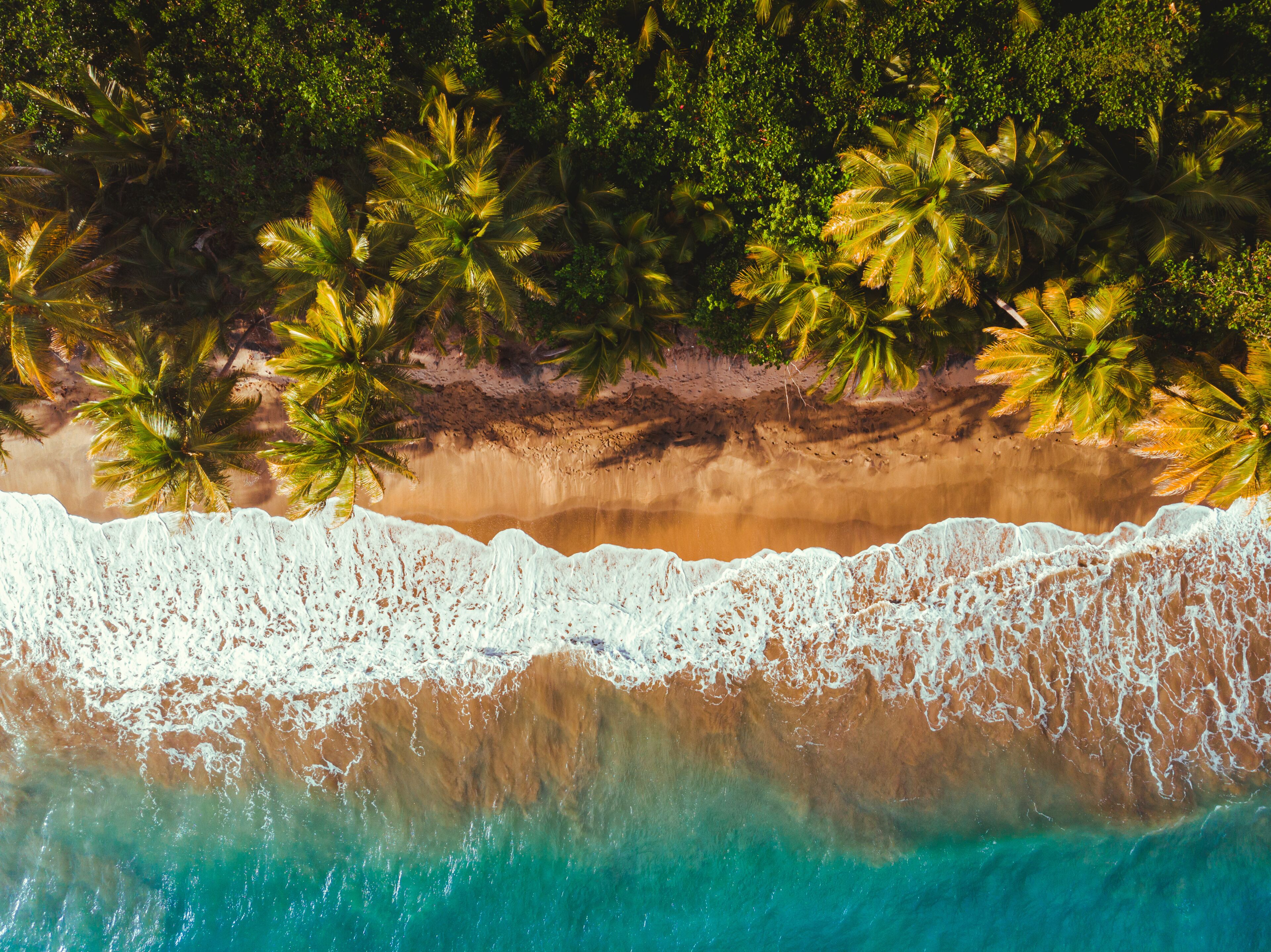 Beautiful golden hour on maunabo black sand beach from puerto rico east side
