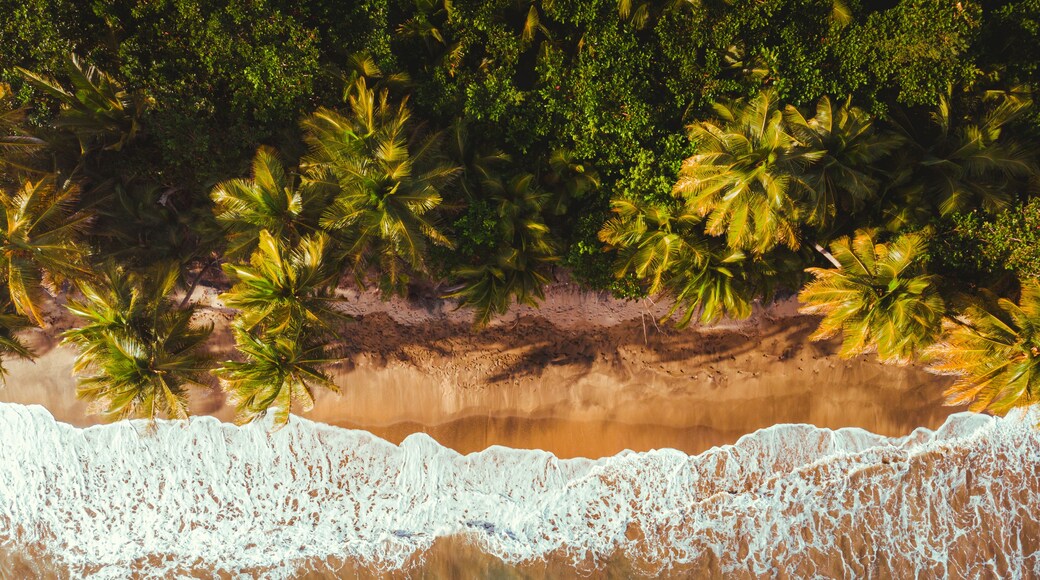 Beautiful golden hour on maunabo black sand beach from puerto rico east side