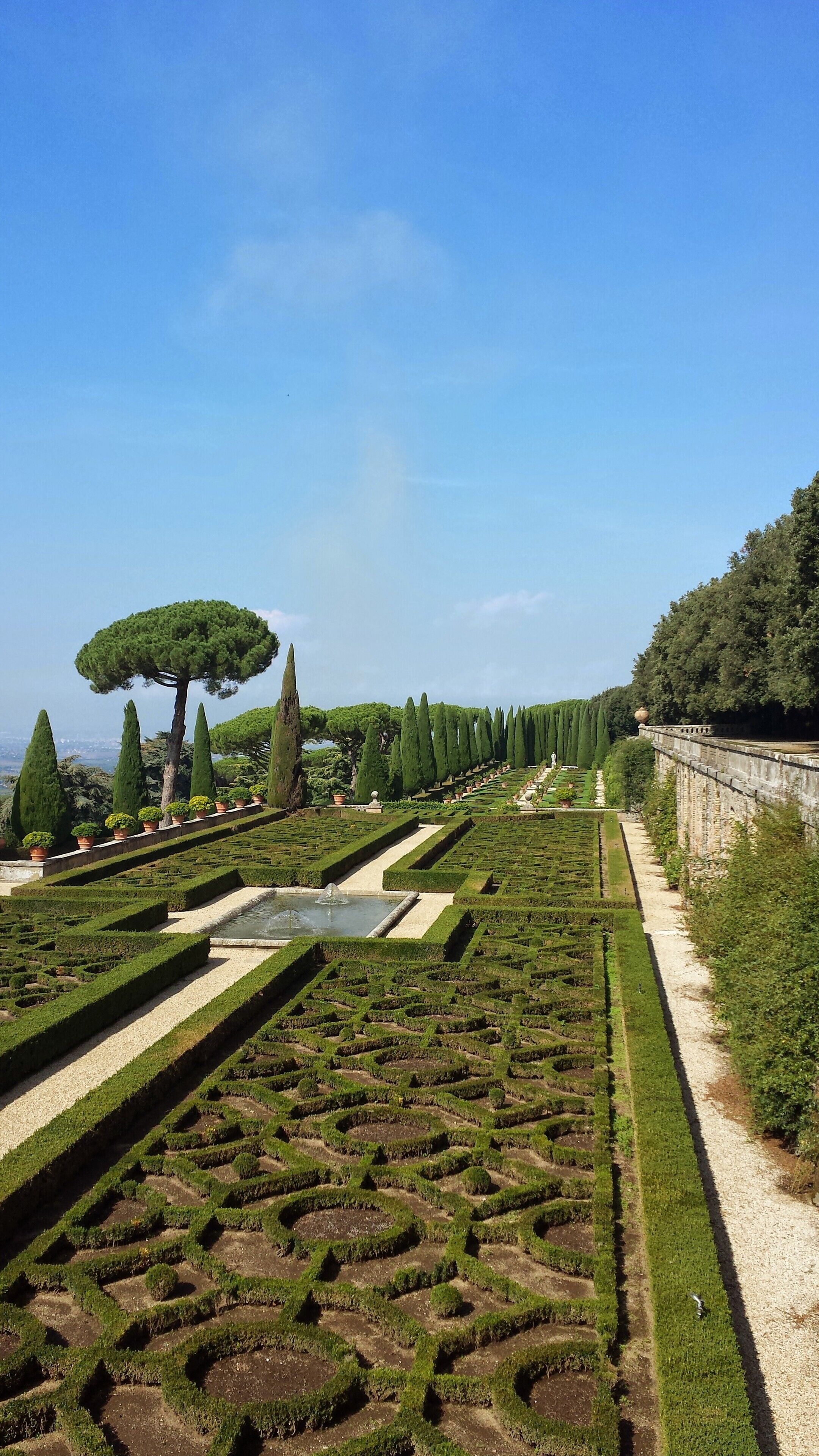 A meticulously landscaped garden with geometrically shaped hedges, a central fountain, and a variety of trees including a prominent topiary.
