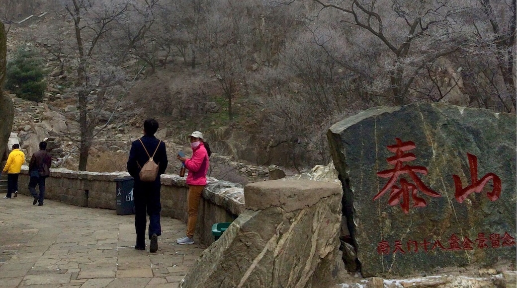 They say when you come to China there are five mountains you have to climb. This is one of the five mountains. I was quite lucky when I visited that day. I made my trip around April to May the weather there was not too cold it was around winter turning to spring. It's around that time that is perfect to visit this spot. It's too hot in summer, and freezing in winter. I literally went there during spring but by the time I reached the top, there was still snow falling. The locals said I was lucky that day, there had been a few days where it stopped snowing. I do recommend bring your own water and snacks, the food stalls on the ways up costs more than normal. It takes about six hours to climb, but they also offer bus rides up half the way, and cable cars to take you up and down the mountain. But where's the fun in that? XD