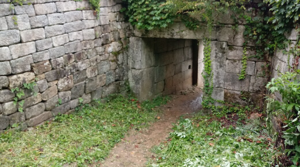 ìëčì°ì± ìëšì돞