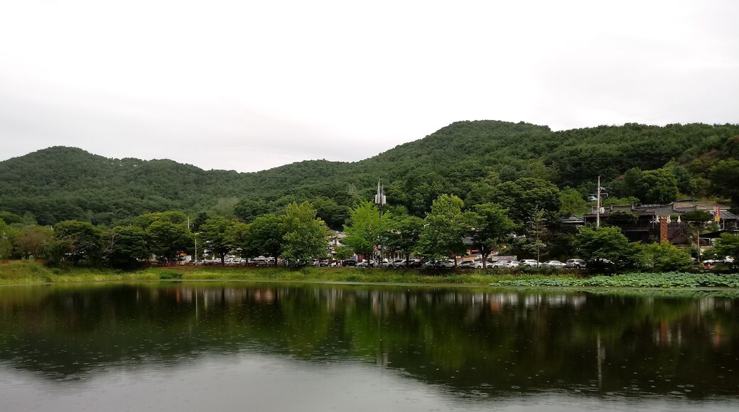 ìëčì°ì± ì±ëŽë°©ìŁœ