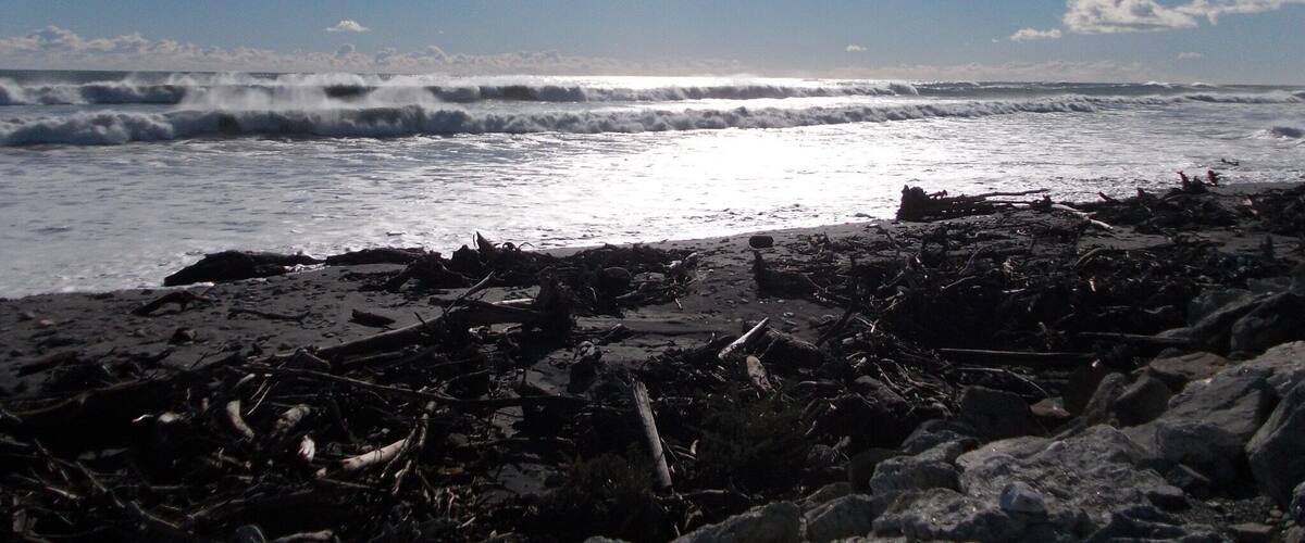 A beach with waves, sun, and scattered debris.