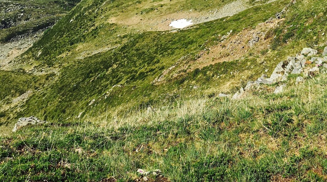 #TakeAHike #mountains #trekking #maddalenegroup #valdinon #trentino #italy #alps #green