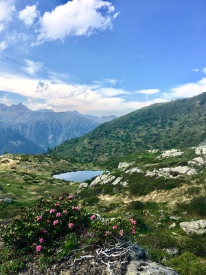 #alps #lake #trekking #nature #green #spring #mountains #maddalene #valdinon #trentino #italy