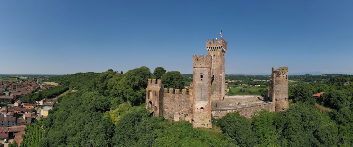 A historic castle surrounded by lush greenery and a small town.