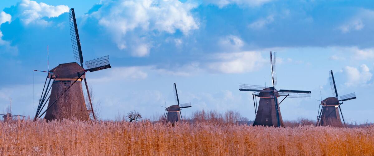 Four windmills in a field with tall grass under a blue sky with clouds.