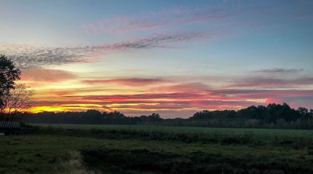 A very cozy campingspot at one of the dutch www.natuurkampeerplaatsen.nl where you can camp as close to nature as lawfully possible. They do make their own goatscheese and icecream as well.
#camping