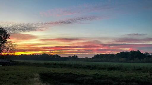A very cozy campingspot at one of the dutch www.natuurkampeerplaatsen.nl where you can camp as close to nature as lawfully possible. They do make their own goatscheese and icecream as well.
#camping
