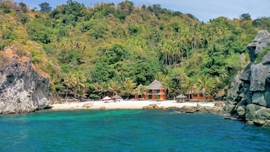 Spend a couple of nights on this tiny island for picturesque beaches and great snorkeling and diving.
Only a small community of locals call this island home and once the late afternoon arrives, all of the tourists visiting on a day trip have left. You then have the island practically all to yourself!
#philippines #tropicalparadise #tropicalisland #beautifulbeach