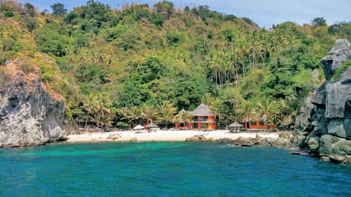 Spend a couple of nights on this tiny island for picturesque beaches and great snorkeling and diving.
Only a small community of locals call this island home and once the late afternoon arrives, all of the tourists visiting on a day trip have left. You then have the island practically all to yourself!
#philippines #tropicalparadise #tropicalisland #beautifulbeach