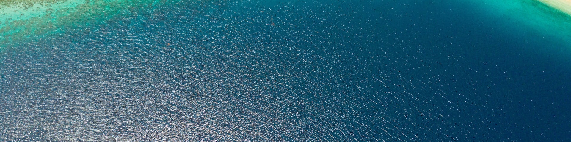 Beautiful beach Canibad, palm trees by turquoise water view from above. Philippines,Samal island.
