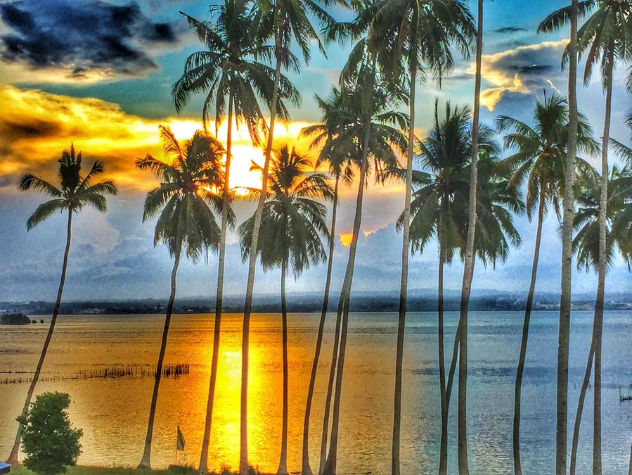 beautiful sunset.