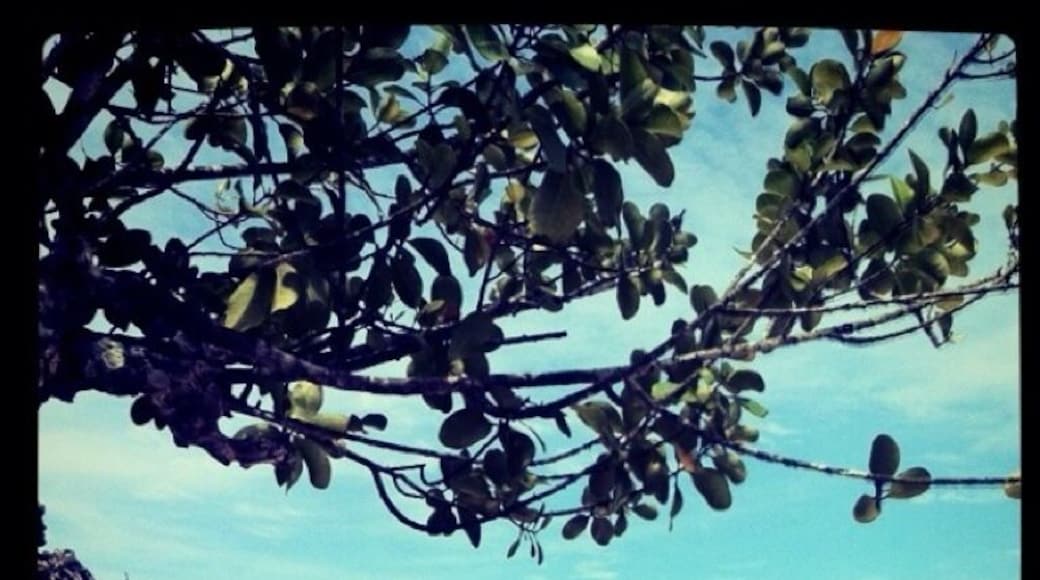 Pearl Farm Beach Resort. #Philippines