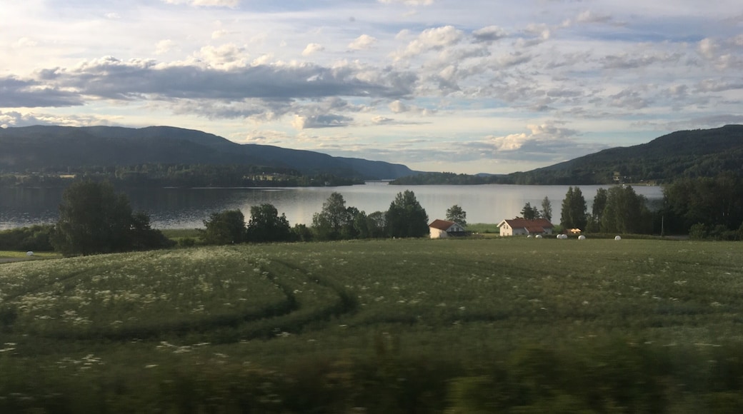 Train journey pic, from Kristiansand to Sandefjord, Norway