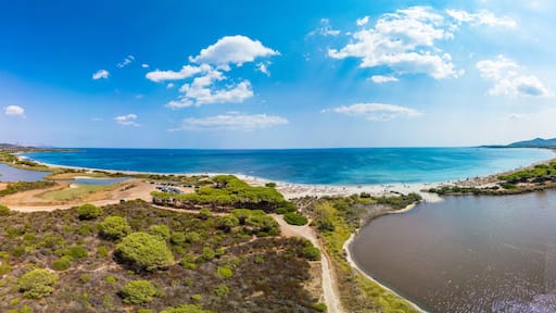 Spiaggia per Cani, Spiaggia e Pineta Salamaghe, and Spiaggia Li Cucutti, Budoni, Sardinia