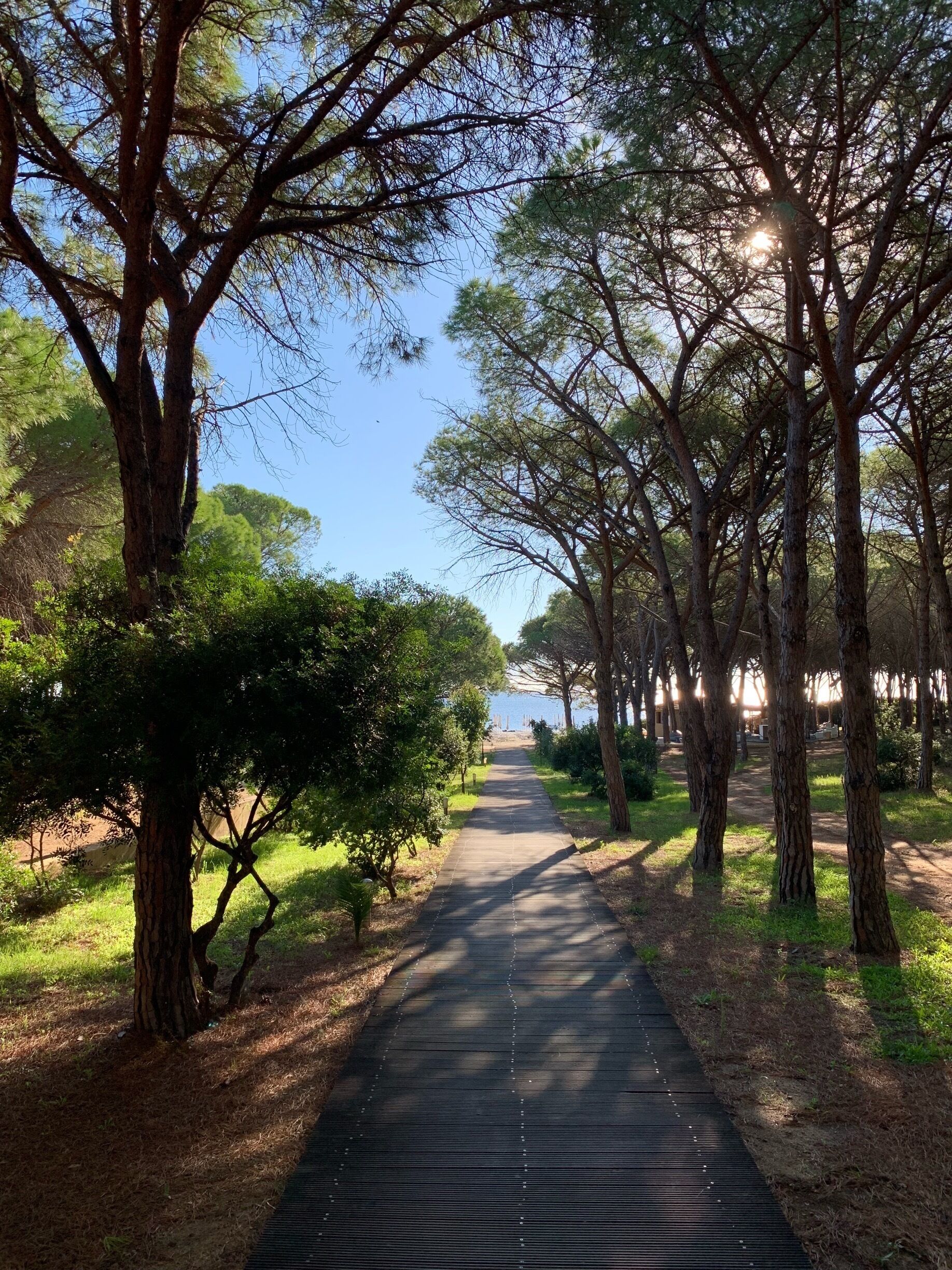 On our way to the beach... #mattaeperu