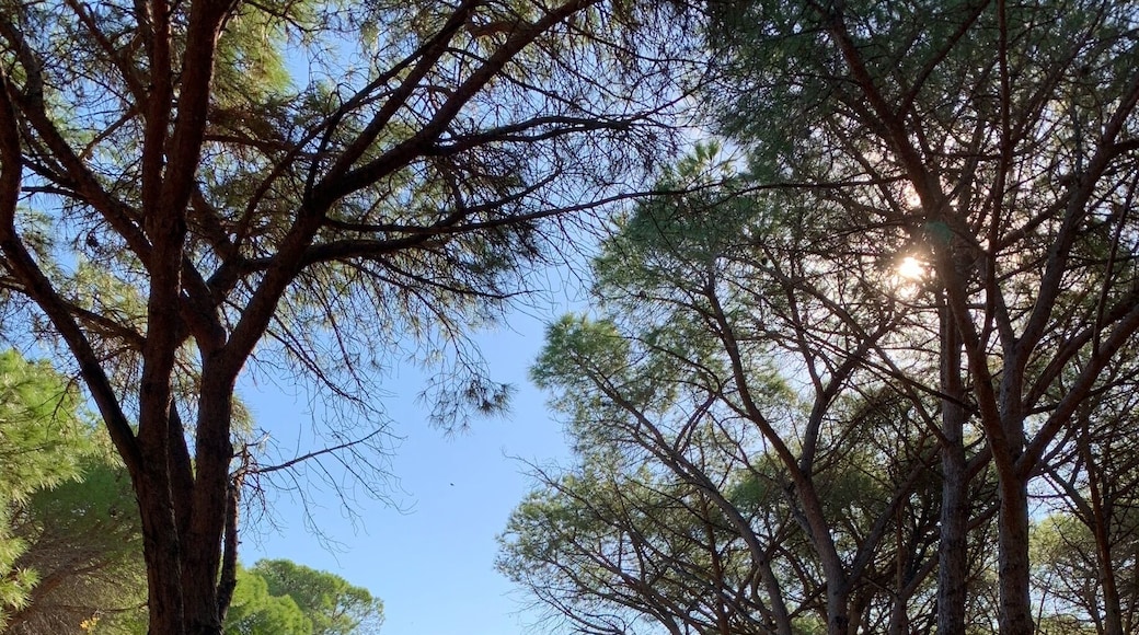 On our way to the beach... #mattaeperu