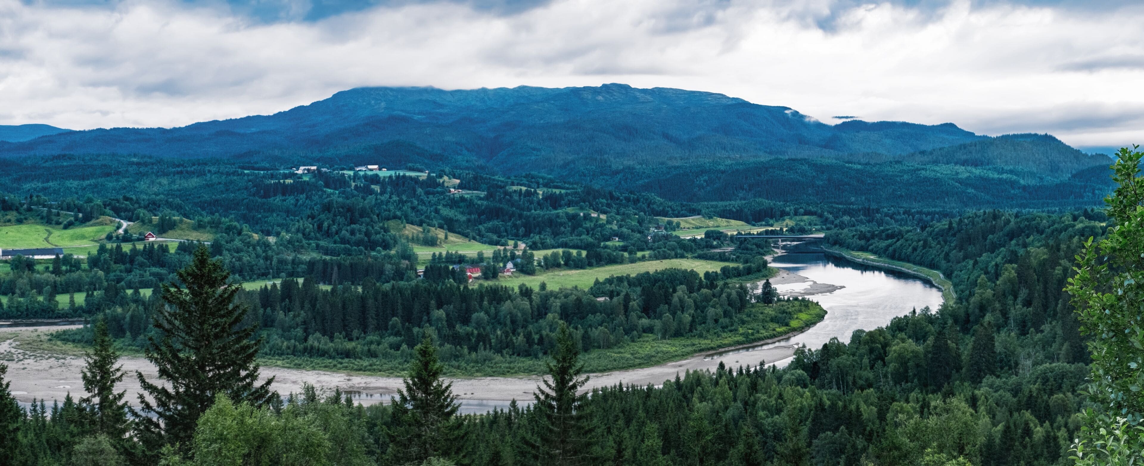Scenic evening view of Kvisloyra Island. It is located on the Namsen River in Grong municipality, Trondelag county, Norway. Norwegian landscape in summer scenery