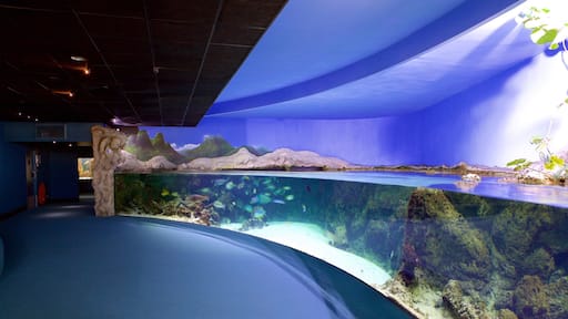 Aquarium La Rochelle showing marine life