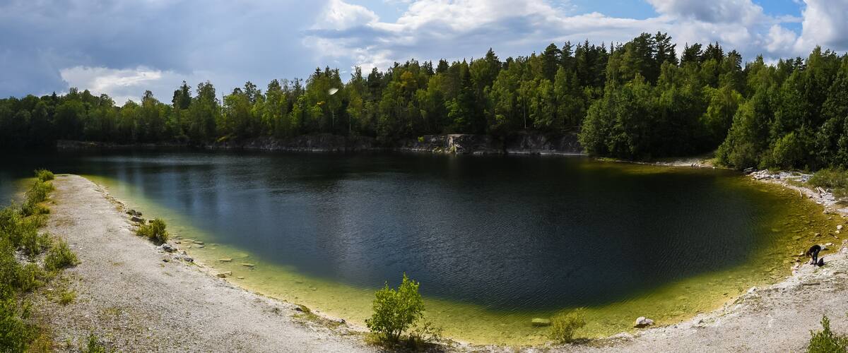 A lake surrounded by dense forest, a sandy shore, and a cloudy sky.