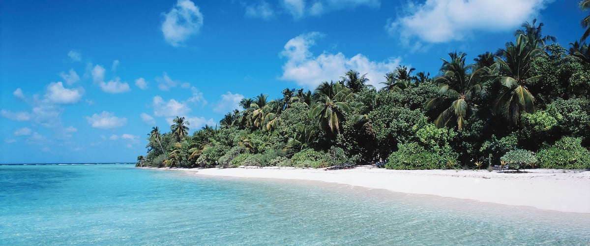 A clear turquoise sea, white sandy beach, and a line of palm trees.