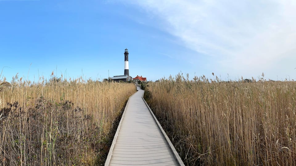 A wooden boardwalk leading to a lighthouse in a coastal area with tall grasses.