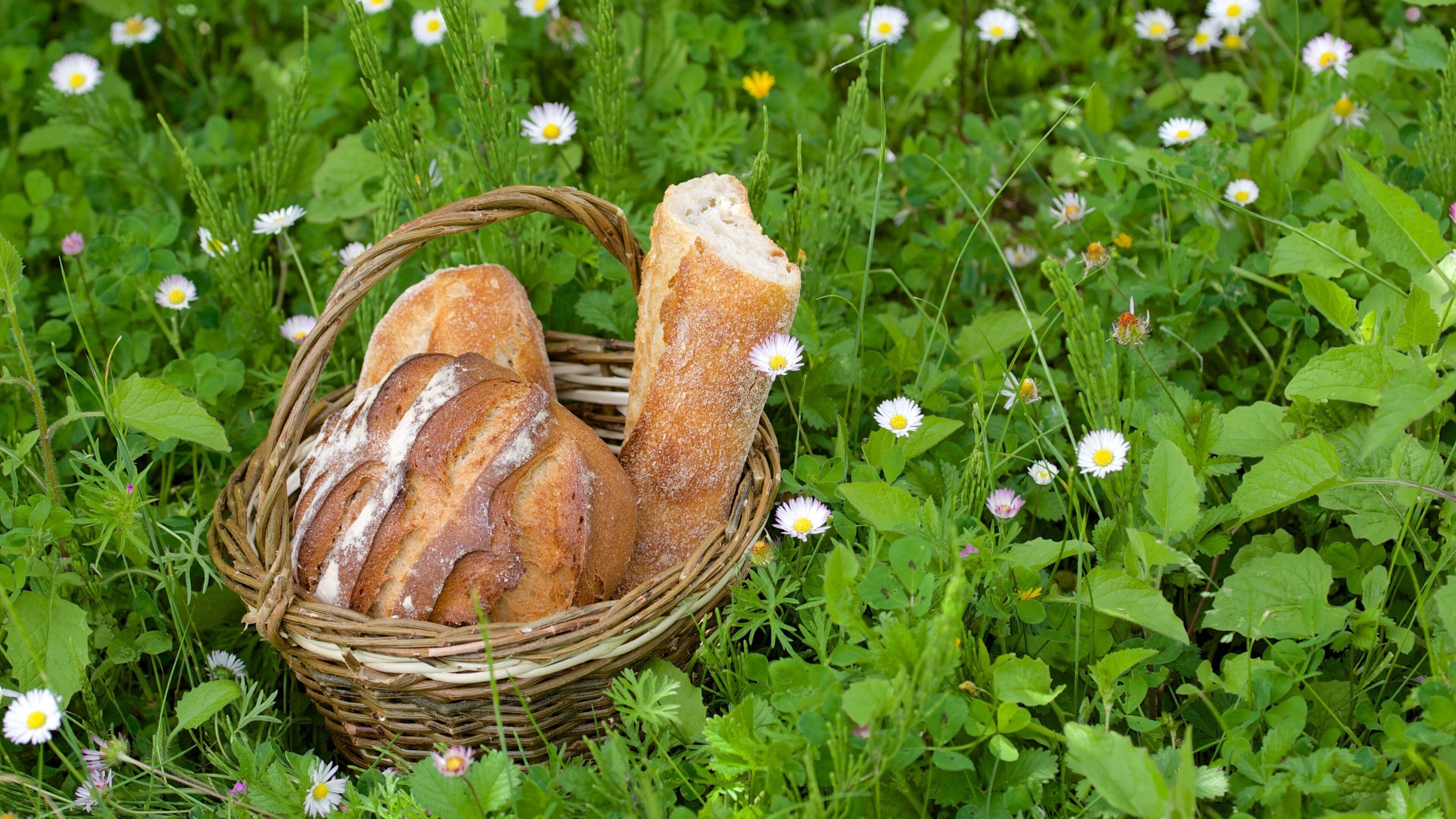 Centre - Loire Valley which includes flowers and food
