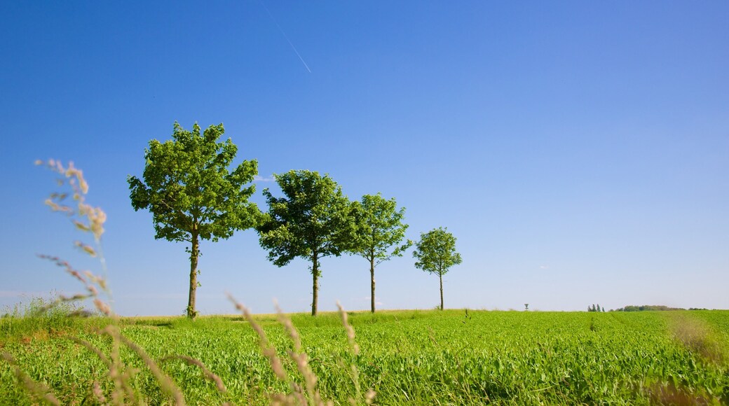 Sentrale Loire-dalen som viser åkre