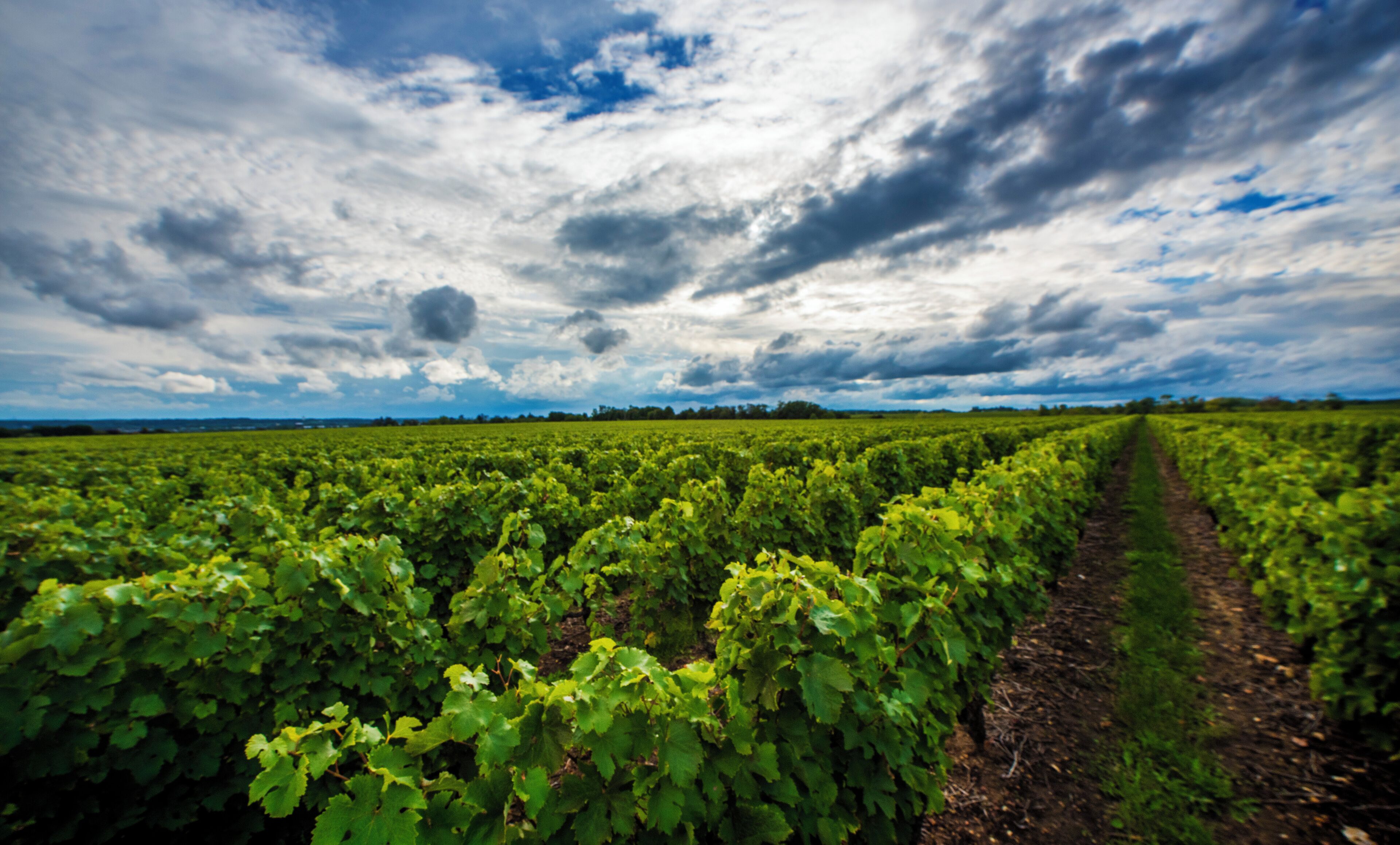 Loire Valley SEO Uploads