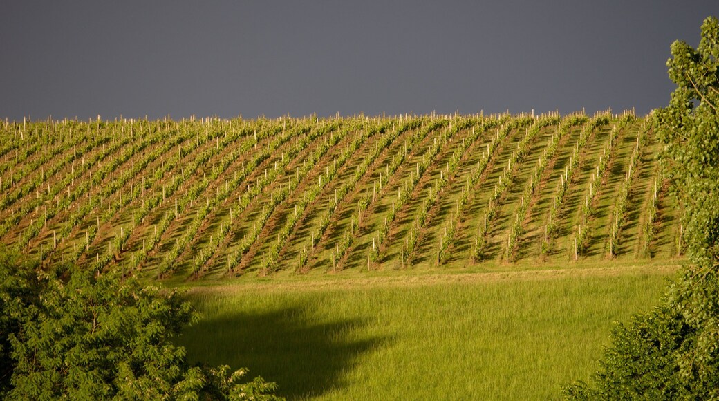 Centre - Val de Loire