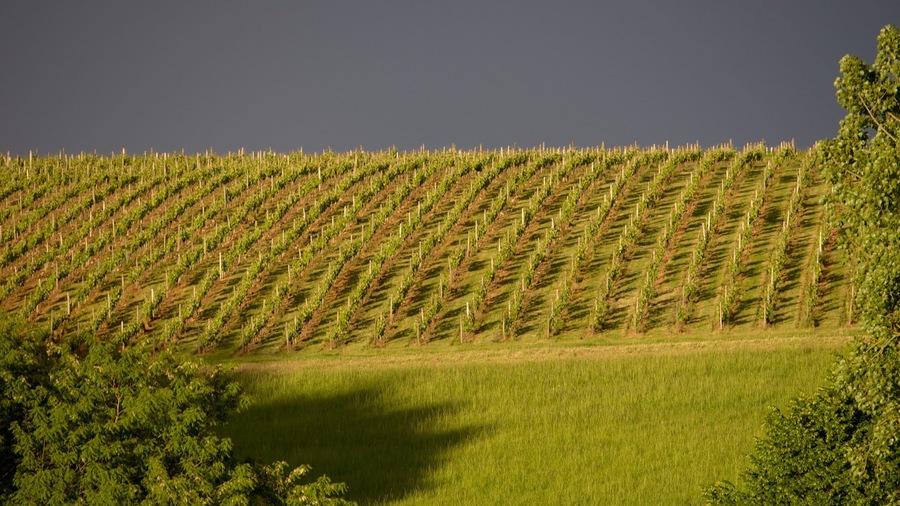 Centre - Loire Valley showing farmland