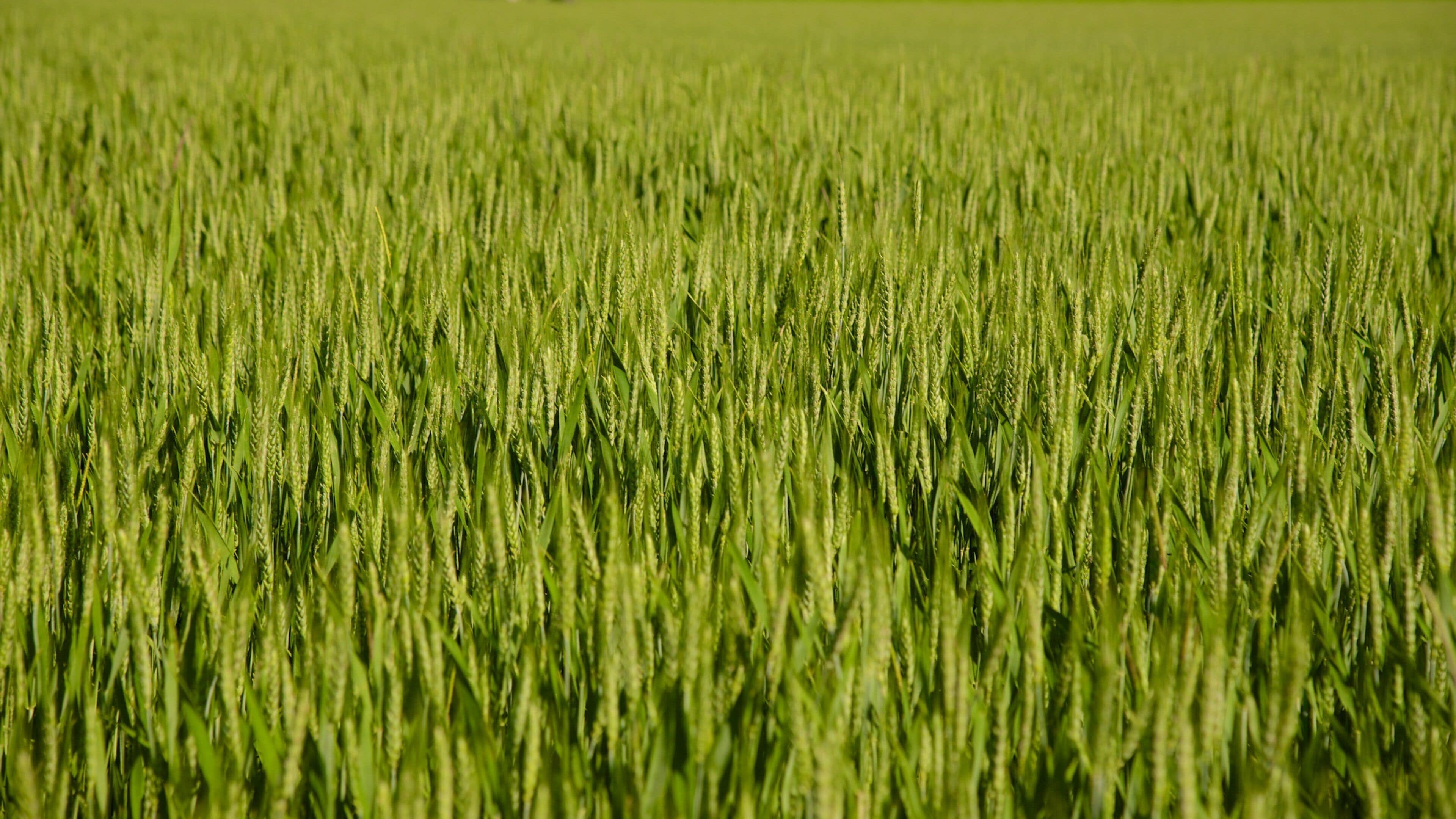 Centre - Val de Loire