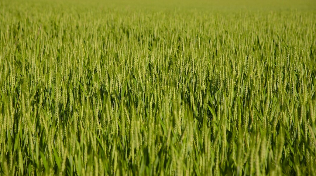 Centre - Val de Loire