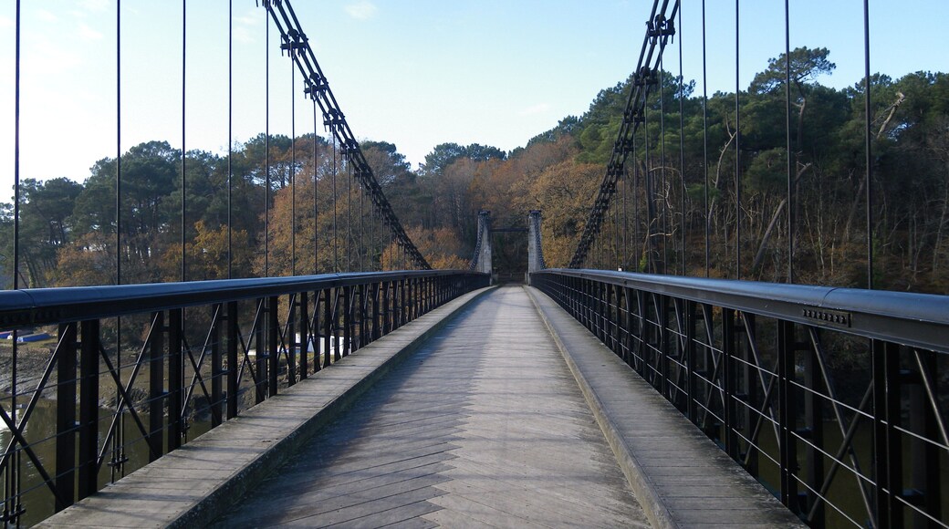 le vieux pont du bono