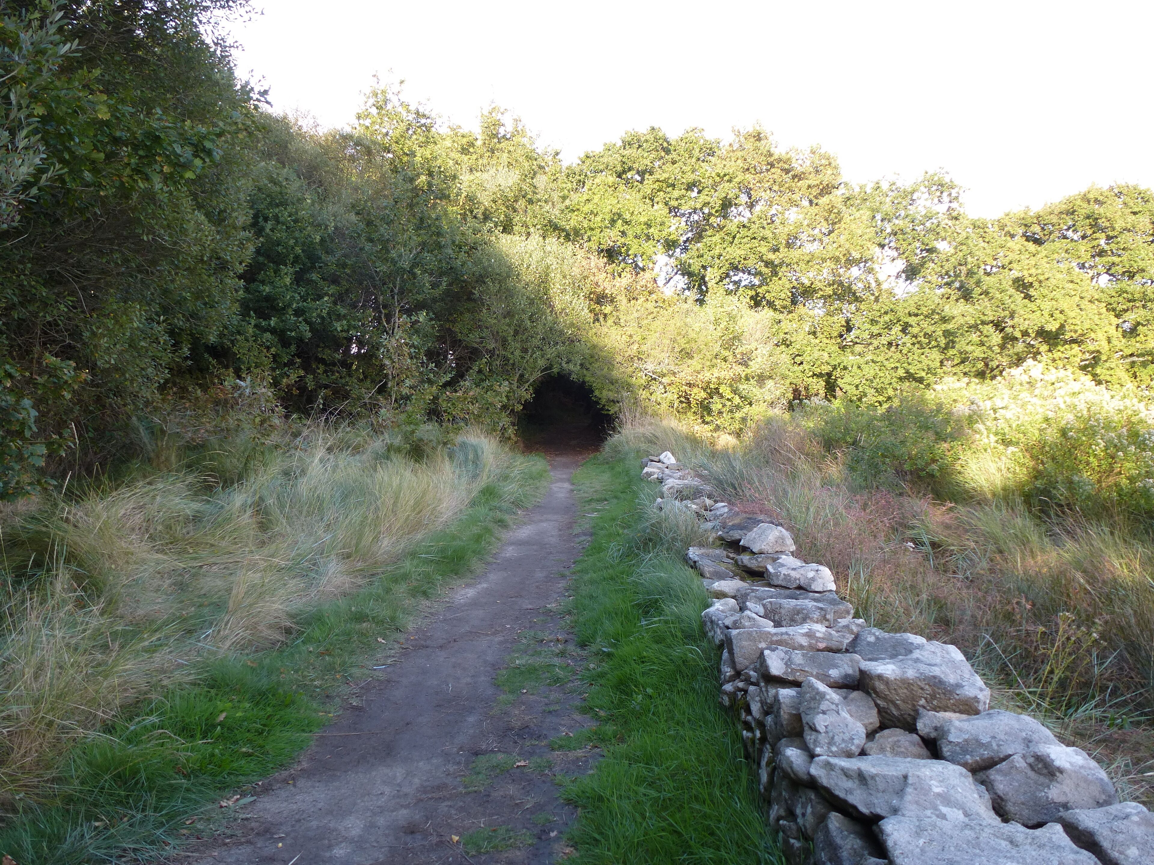 sentier cotier riviere d'auray