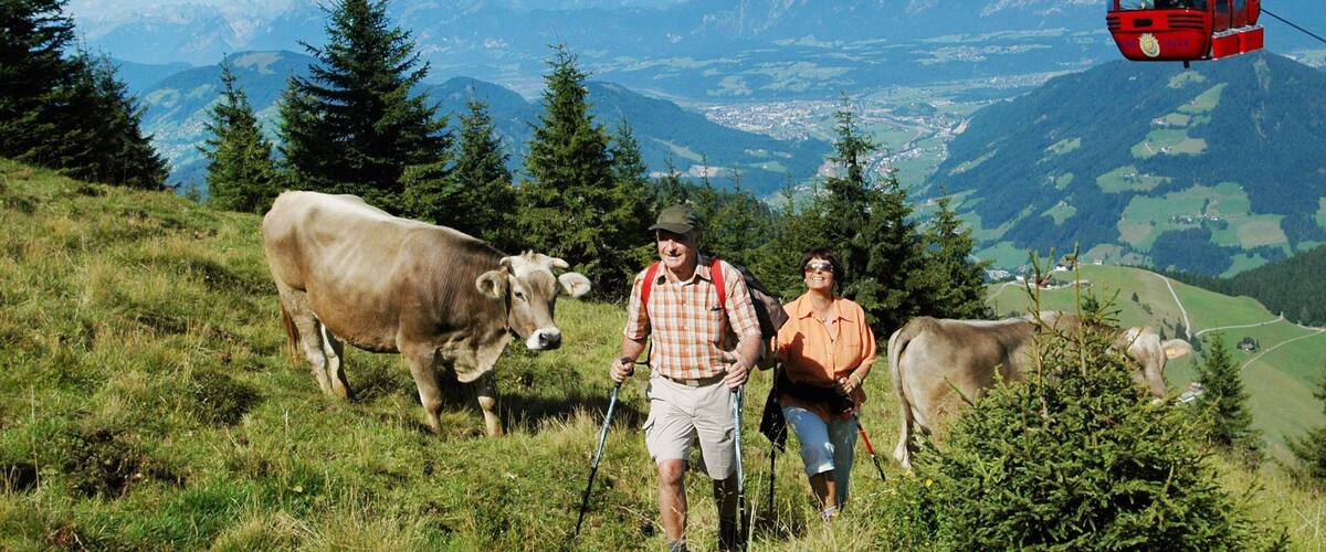 Soell which includes hiking or walking, land animals and a gondola