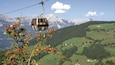 A cable car with passengers, red flowering bushes, and a mountainous landscape.