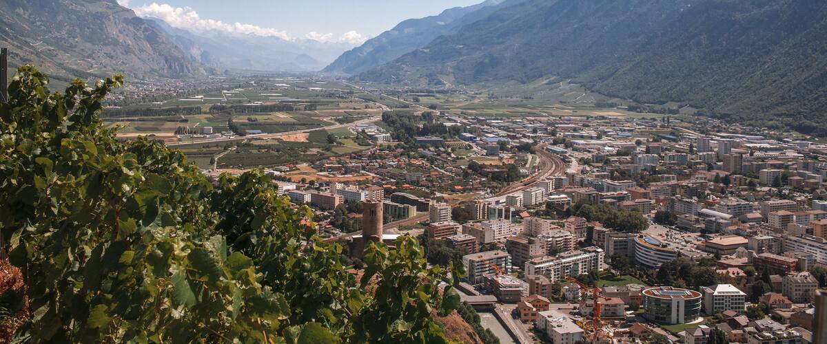 A city nestled between mountains with vineyards in the foreground.