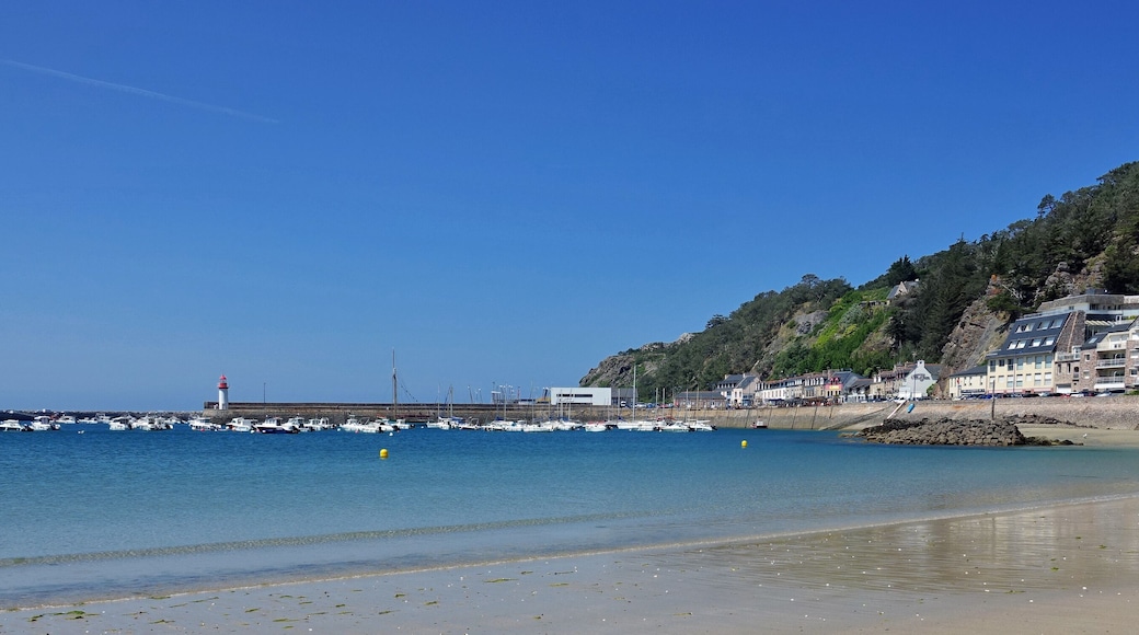 GR 34 le sentier des douaniers en Bretagne en France : de Plurien à Pléneuf-Val-André (faune et flore, Chapelle Saint-Michel à Erquy, les lacs bleus, Cap d'Erquy, pointe de Pléneuf)