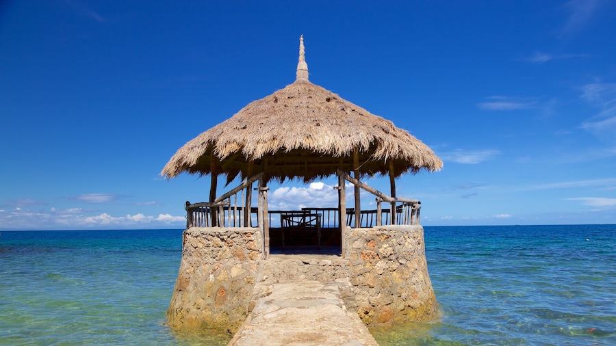 Cebu Island featuring general coastal views