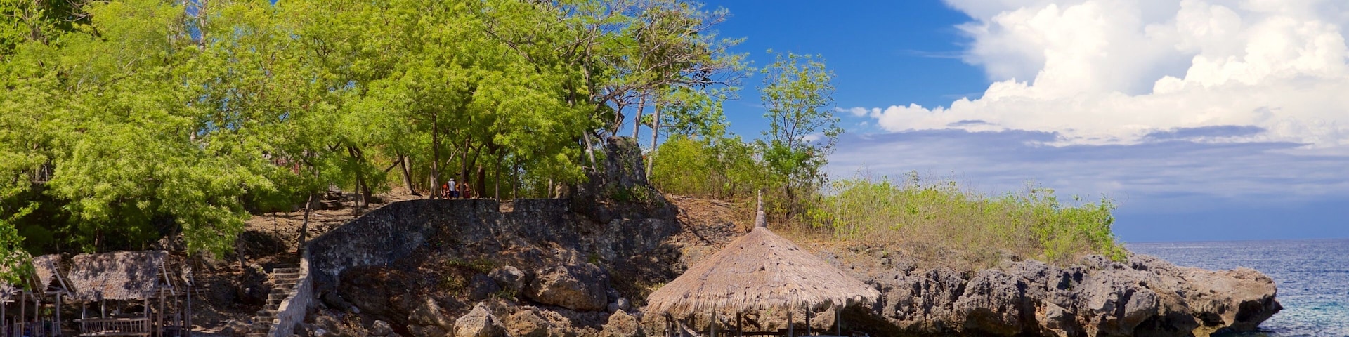 Ilha de Cebu caracterizando paisagens litorâneas e cenas tropicais