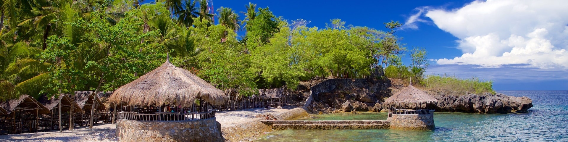 Cebu Island featuring general coastal views and tropical scenes