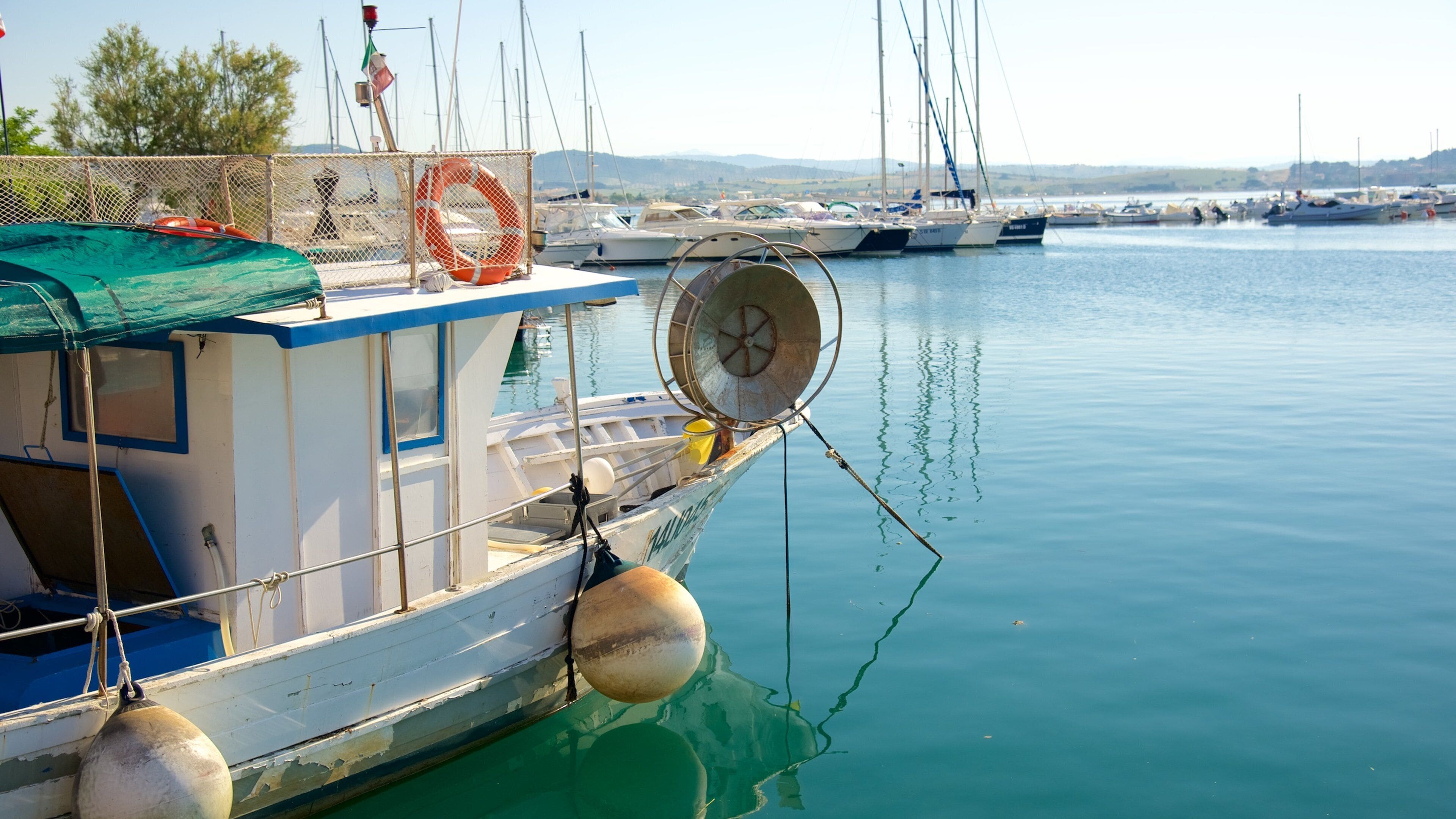 Talamone som viser marina og båter