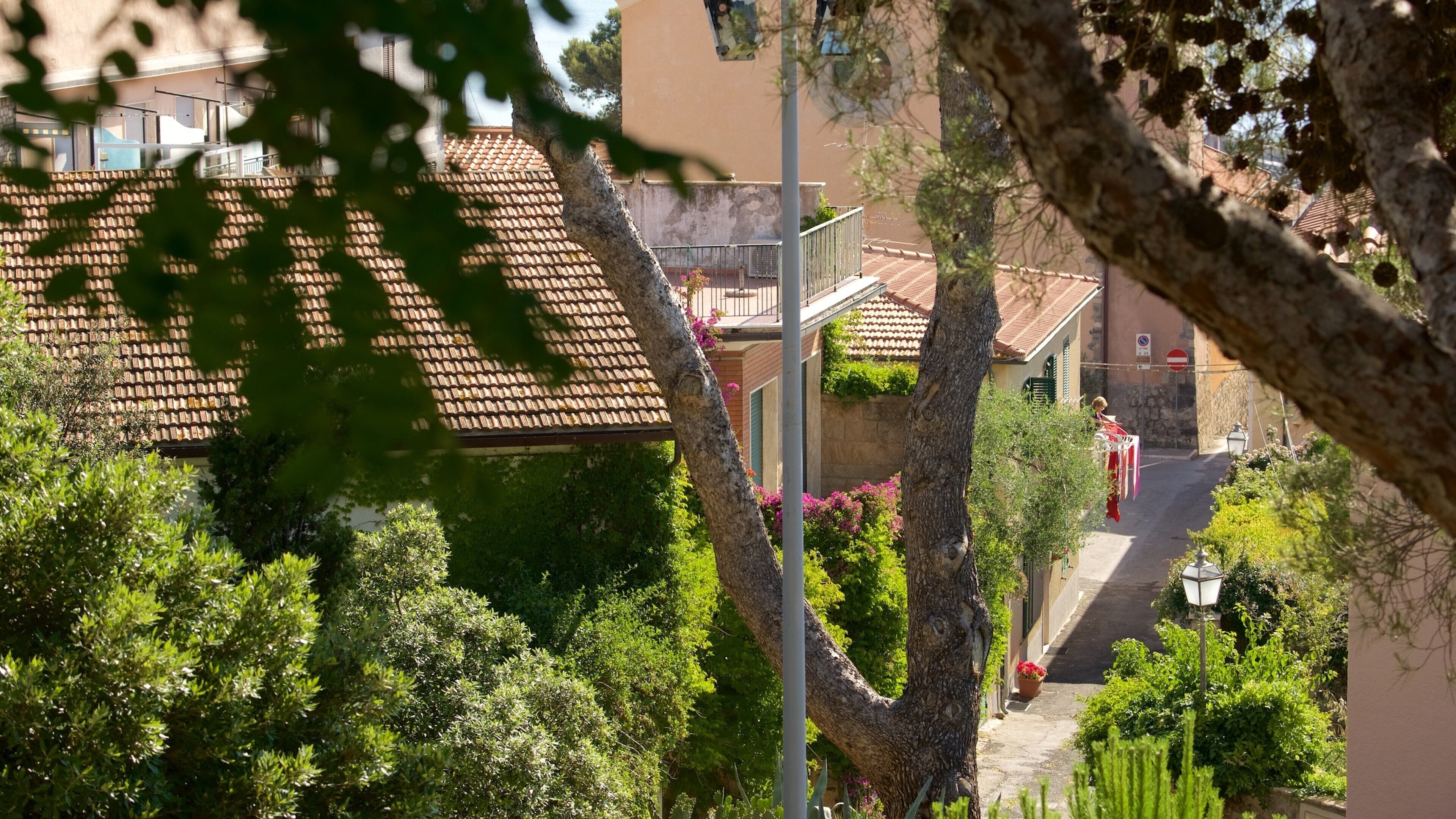 Talamone featuring a coastal town