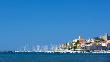 A coastal town with a marina filled with sailboats, historic buildings, and a prominent castle.