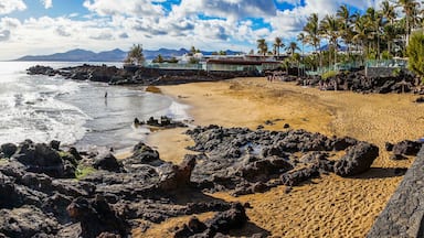 Una playa con primer plano rocoso, orilla arenosa, palmeras y montañas a lo lejos.